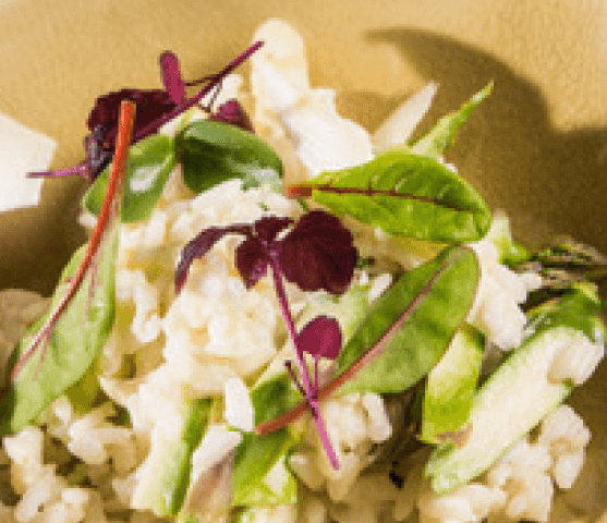 RISOTTO MET ASPERGES