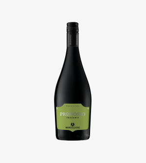 Montelvini Promosso Frizzante