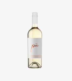 San Marzano Piu Malvasia Sauvignon